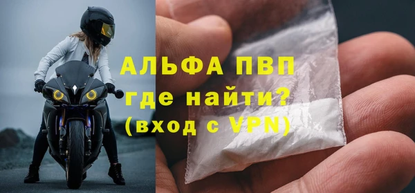 стаф Арсеньев