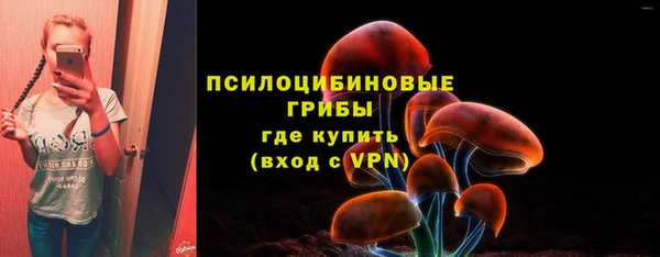 прущий лед Армянск
