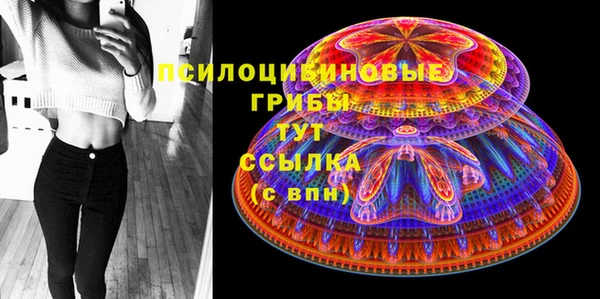 ешки Аркадак