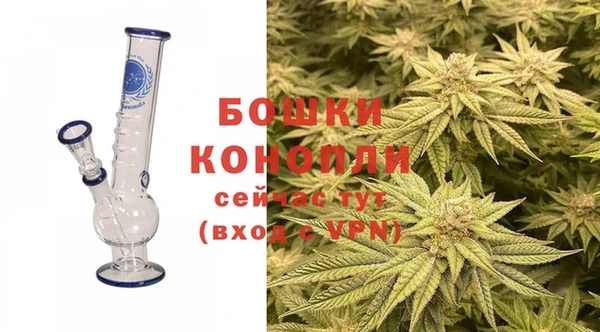 ешки Аркадак