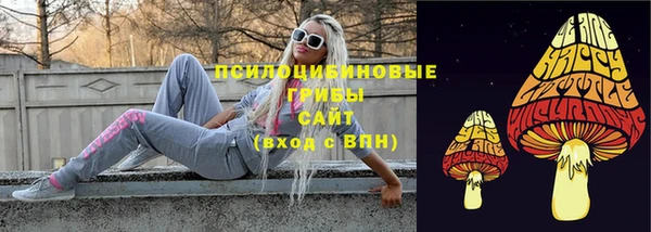 стаф Арсеньев