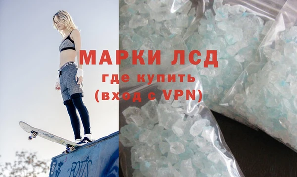 стаф Арсеньев