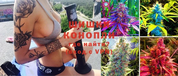ешки Аркадак