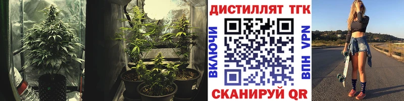 ТГК Wax  закладка  Мыски 